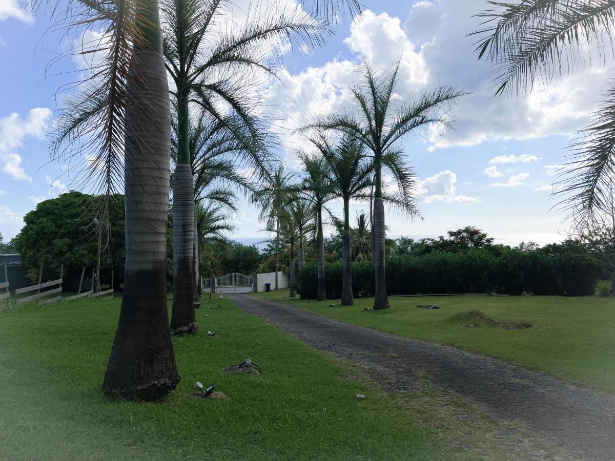 Villa Jouanacaera 르 카르베 외부 사진